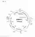 Fig. 18 - ALBUMIN VARIANTS