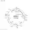 Fig. 18 - ALBUMIN VARIANTS
