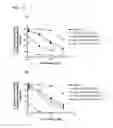 Fig. 32 - ALBUMIN VARIANTS