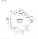 Fig. 20 - ALBUMIN VARIANTS