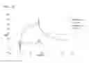 Fig. 17 - ALBUMIN VARIANTS
