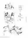 Fig. 02 - Optimal interstrand bridge for collagen mimics