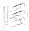 Fig. 04 - Optimal interstrand bridge for collagen mimics