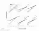 Fig. 06 - Optimal interstrand bridge for collagen mimics