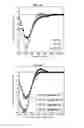 Fig. 07 - MODIFIED COLLAGEN MOLECULES