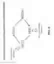 Fig. 10 - Anti-DLL3 antibodies
