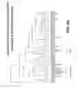 Fig. 14 - Anti-DLL3 antibodies