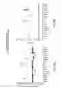 Fig. 19 - Anti-DLL3 antibodies