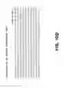 Fig. 25 - Anti-DLL3 antibodies
