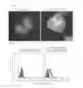 Fig. 07 - Antibody against human prostaglandin E2 receptor EP4