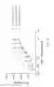 Fig. 03 - Antibodies directed against programmed death-1 (PD-1)