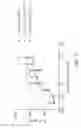 Fig. 04 - Antibodies directed against programmed death-1 (PD-1)