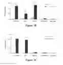 Fig. 04 - CS1-specific chimeric antigen receptor engineered immune effector cells