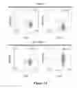Fig. 08 - CS1-specific chimeric antigen receptor engineered immune effector cells