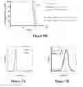 Fig. 11 - CS1-specific chimeric antigen receptor engineered immune effector cells