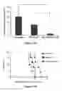 Fig. 28 - CS1-specific chimeric antigen receptor engineered immune effector cells