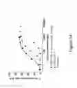 Fig. 37 - Bispecific T cell activating antigen binding molecules