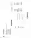 Fig. 48 - Bispecific T cell activating antigen binding molecules
