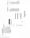 Fig. 53 - Bispecific T cell activating antigen binding molecules
