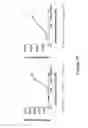 Fig. 63 - Bispecific T cell activating antigen binding molecules