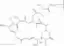 Fig. 14 - Anti-CLL-1 antibodies and immunoconjugates