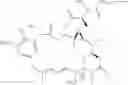 Fig. 15 - Anti-CLL-1 antibodies and immunoconjugates