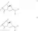 Fig. 25 - Anti-CLL-1 antibodies and immunoconjugates