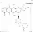 Fig. 40 - Anti-CLL-1 antibodies and immunoconjugates