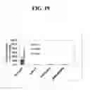 Fig. 20 - Antibody polypeptides that antagonize CD40L