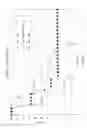 Fig. 10 - Antibodies to Carcinoembryonic Antigen (CEA), Methods of Making Same, and Uses Thereof