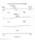 Fig. 12 - Antibodies to Carcinoembryonic Antigen (CEA), Methods of Making Same, and Uses Thereof