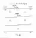 Fig. 13 - Antibodies to Carcinoembryonic Antigen (CEA), Methods of Making Same, and Uses Thereof