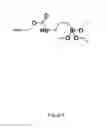 Fig. 10 - HETEROBIFUNCTIONAL POLYMERS AND METHODS FOR LAYER-BY-LAYER CONSTRUCTION OF MULTILAYER FILMS
