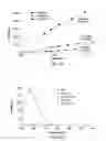 Fig. 09 - Biodegradable photoluminescent polymers