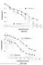 Fig. 11 - Biodegradable photoluminescent polymers