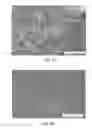 Fig. 15 - Biodegradable photoluminescent polymers