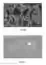 Fig. 17 - Biodegradable photoluminescent polymers
