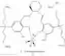 Fig. 35 - Process of producing polycarbonate by copolymerization of carbon dioxide and epoxide using the same as catalyst