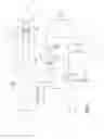 Fig. 08 - NYLON SALT SOLUTION PREPARATION PROCESSES WITH TRIM DIAMINE