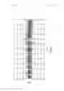 Fig. 12 - NYLON SALT SOLUTION PREPARATION PROCESSES WITH TRIM DIAMINE