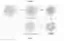 Fig. 02 - Polymeric nanogels with degradable backbones and from gras components, and compositions and methods thereof