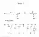 Fig. 02 - Sequence-defined polymers and methods of making same and using same