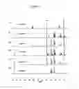 Fig. 12 - Sequence-defined polymers and methods of making same and using same