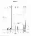 Fig. 30 - Sequence-defined polymers and methods of making same and using same