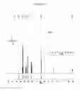 Fig. 33 - Sequence-defined polymers and methods of making same and using same