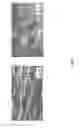 Fig. 03 - Composition of hydrophilic painted surface