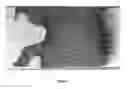 Fig. 07 - Biodegradable fire resistant foam