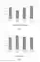 Fig. 02 - Environmentally friendly rubber composition