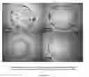 Fig. 06 - Low-VOC cleaning substrates and compositions containing a non-ionic surfactant