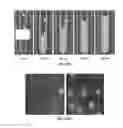 Fig. 13 - Methods and apparatus for cell culture array